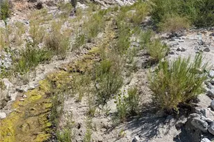 49170 Via Hacienda, Morongo Valley, CA 92256 - Photo 1