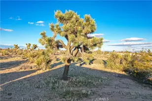 3567 Condalia Ave, Yucca Valley, CA 92284 - Photo 32