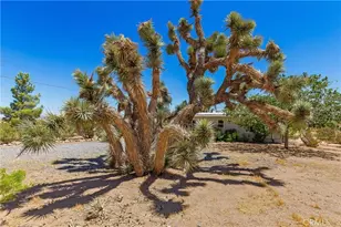 56713 Lowe, Yucca Valley, CA 92284 - Photo 6