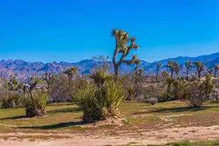 5437 Paradise View Rd, Yucca Valley, CA 92284 - Photo 62
