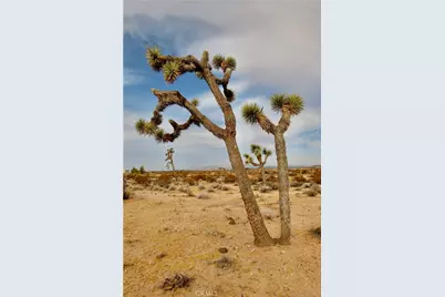 0 Cielito, Joshua Tree, CA 92252 - Photo 6