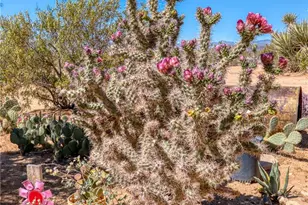 59025 La Brisa, Yucca Valley, CA 92284 - Photo 54