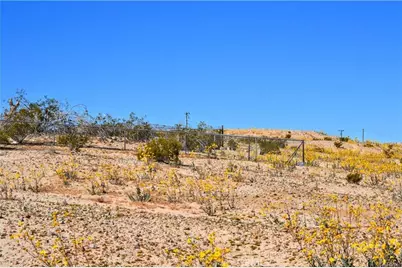 4040 Peter Rabbit, 29 Palms MCB, CA 92277 - Photo 4