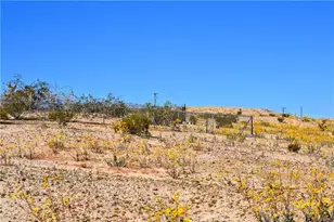 4040 Peter Rabbit, 29 Palms MCB, CA 92277 - Photo 4