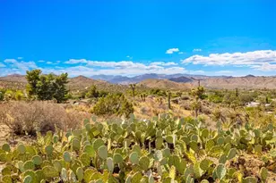 56583 Free Gold Dr, Yucca Valley, CA 92284 - Photo 64