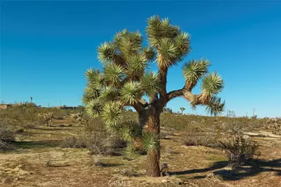 4084 Ocean Avenue, Joshua Tree, CA 92252 - Photo 6