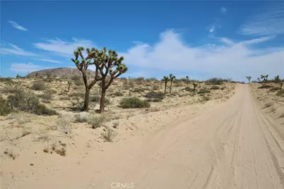 0 Pine Street, Landers, CA 92285 - Photo 2