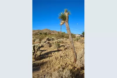 60255 Natoma Trail, Joshua Tree, CA 92252 - Photo 20