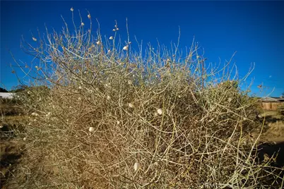 60255 Natoma Trail, Joshua Tree, CA 92252 - Photo 16