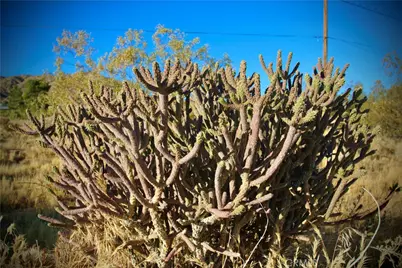 60255 Natoma Trail, Joshua Tree, CA 92252 - Photo 18
