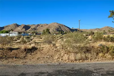60255 Natoma Trail, Joshua Tree, CA 92252 - Photo 14