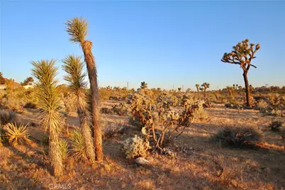 5374 Marvin Drive, Yucca Valley, CA 92284 - Photo 12