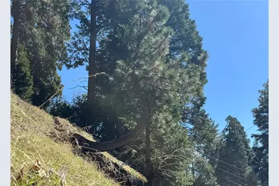 0 North Road, Twin Peaks, CA 92391 - Photo 4
