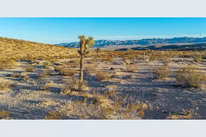 3025 Flamingo Avenue, Joshua Tree, CA 92252 - Photo 10