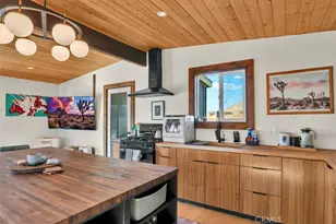 54574 Caspers Rd, Johnson Valley, CA 92285 - Photo 12