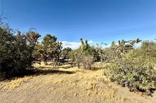 56862 La Cadena, Yucca Valley, CA 92284 - Photo 30