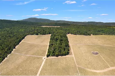 6736 Harrington Flat Road, Loch Lomond, CA 95461 - Photo 18