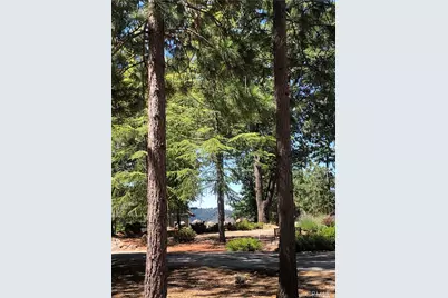 8833 Fox Drive, Cobb, CA 95426 - Photo 1