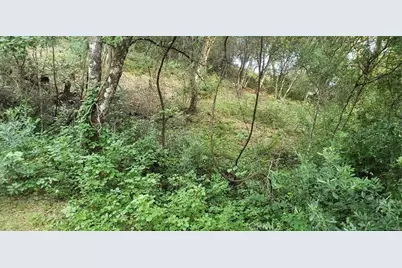 7248 High Street, Nice, CA 95464 - Photo 8