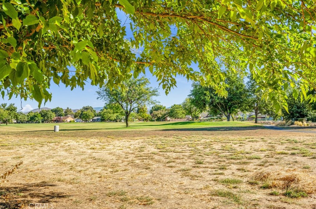 18315 Deer Hollow Rd, Middletown, CA 95467