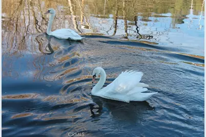 12762 Shoreview Drive, Clearlake Oaks, CA 95423 - Photo 10