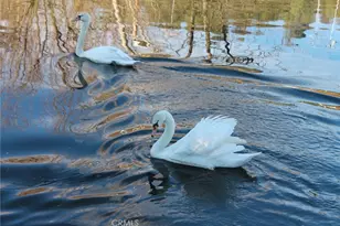 12762 Shoreview Dr, Clearlake Oaks, CA 95423 - Photo 10