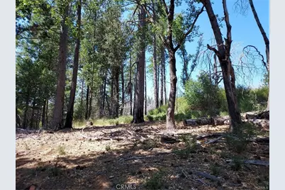 16102 Sugar Pine Ridge Road, Cobb, CA 95426 - Photo 2