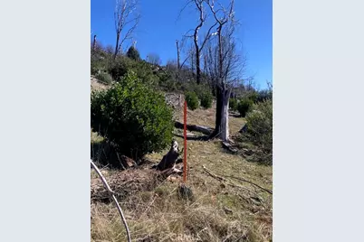 15260 Evergreen Drive, Cobb, CA 95426 - Photo 18