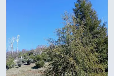 15260 Evergreen Drive, Cobb, CA 95426 - Photo 6