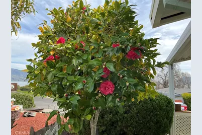 5830 Robin Hill Dr #41, Lakeport, CA 95453 - Photo 42