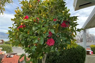 5830 Robin Hill Dr, Lakeport, CA 95453 - Photo 42