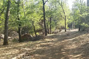 8132 Harrington Flat Rd, Kelseyville, CA 95451 - Photo 40