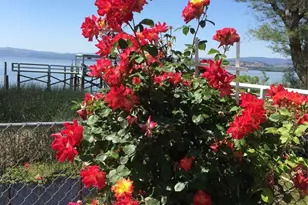 2630 Lakeshore Blvd, Upper Lake, CA 95485 - Photo 42