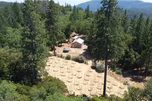 11444 Bottle Rock Rd, Kelseyville, CA 95451 - Photo 44