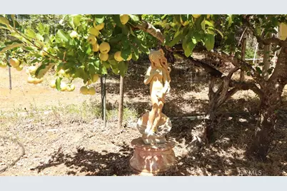 11444 Bottle Rock Road, Kelseyville, CA 95451 - Photo 16