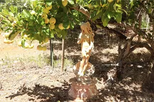 11444 Bottle Rock Rd, Kelseyville, CA 95451 - Photo 16