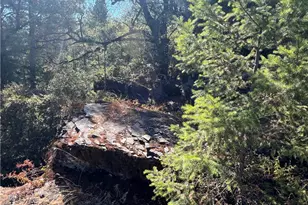 11444 Bottle Rock Rd, Kelseyville, CA 95451 - Photo 48