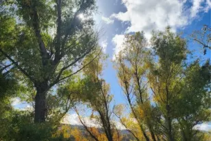 13050 Island Dr, Clearlake Oaks, CA 95423 - Photo 30