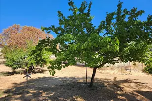 3950 Emile Ave, Clearlake, CA 95422 - Photo 10