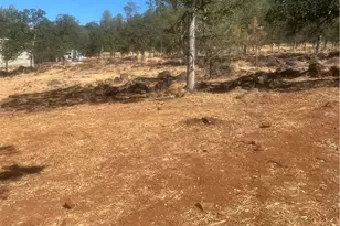 16095 Spruce Grove Rd, Lower Lake, CA 95457 - Photo 38