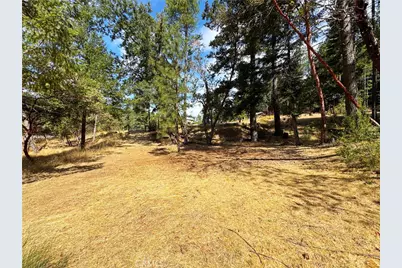 4101 Chinquapin Drive, Willits, CA 95490 - Photo 48