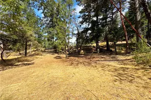 4101 Chinquapin Dr, Willits, CA 95490 - Photo 48