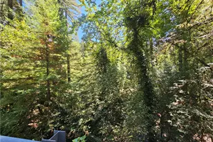 135 Redwood Ave, Occidental, CA 95419 - Photo 42