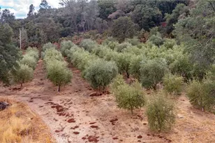 21378 Jerusalem Grade, Lower Lake, CA 95461 - Photo 48