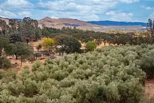 21378 Jerusalem Grade, Lower Lake, CA 95461 - Photo 50