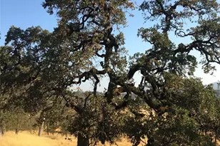 21378 Jerusalem Grade, Lower Lake, CA 95461 - Photo 26