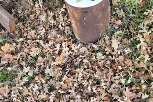 2906 Park View Dr, Lakeport, CA 95453 - Photo 26