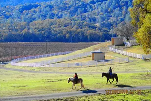 8900 Wight Way, Kelseyville, CA 95451 - Photo 26