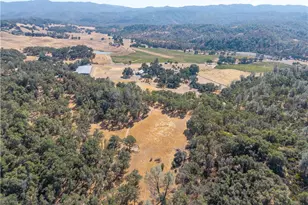 8900 Wight Way, Kelseyville, CA 95451 - Photo 58