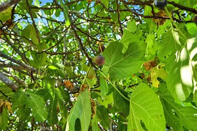 4397 Country Club Drive, Lucerne, CA 95458 - Photo 36